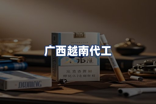 广西越南代工
